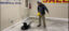 Low Speed Floor Buffer